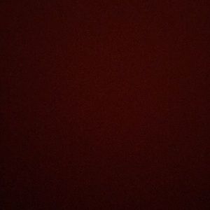 Meet your Posher, Guzman